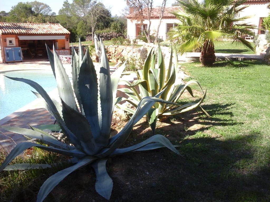 Hotel Mas Des Lys Roquebrune-sur Argens Zewnętrze zdjęcie